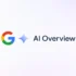 Google AI Overview